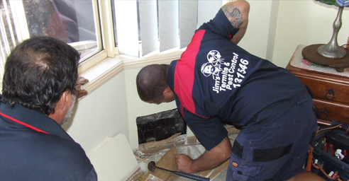 Termite Inspection brisbane