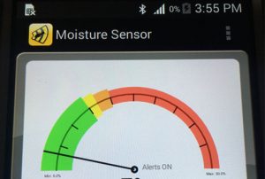 Termite Inspections Moisture