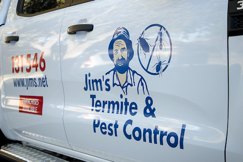 Mosquito control Brisbane