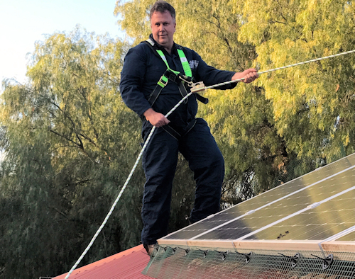 Bird Proofing Solar Panels Cost Brisbane