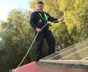 Pigeon Proofing Solar Panels