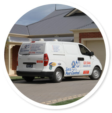 Pest Control Fernvale