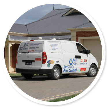 Pest Control Pacific Pines