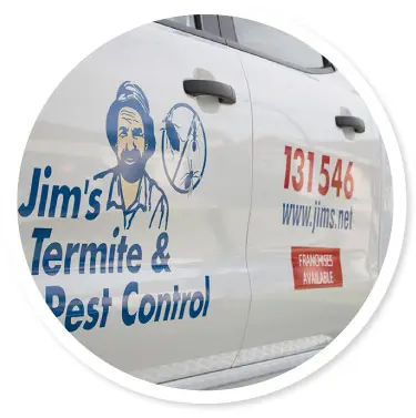 Termite & pest control {suburb}