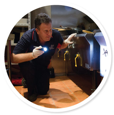 Commercial Restaurant Pest Control